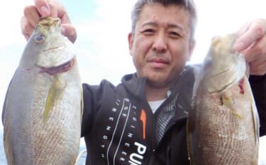【釣果速報】大分沖の五目釣りで良型イサキにイシダイが浮上（大分・熊本）