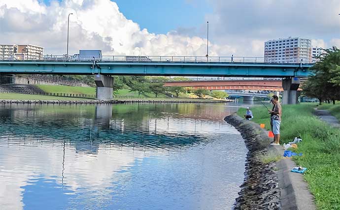 旧中川で12cm筆頭にマハゼ35尾をキャッチ【東京】今シーズンは魚影が濃くて釣果好調