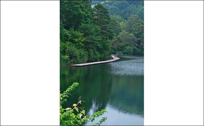 今週の関東ヘラブナ推薦釣り場2024【長野・聖湖】