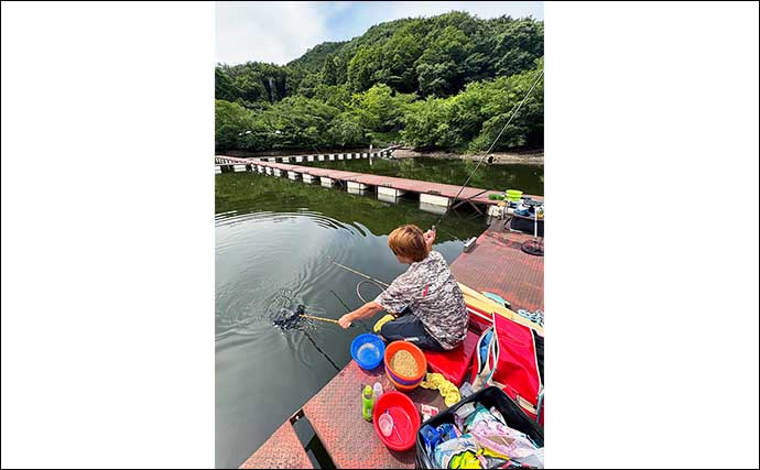 吉田康雄のザ・チャレンジへらぶな【数十年振りの一発セット#3】