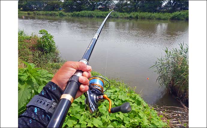 元荒川でのウキ釣りで80cm筆頭に良型コイ4尾【埼玉】食パンエサで足元狙って連発