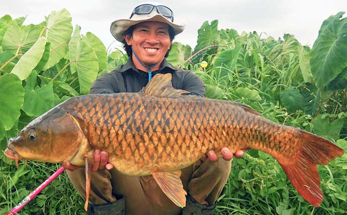 元荒川でのウキ釣りで80cm筆頭に良型コイ4尾【埼玉】食パンエサで足元狙って連発