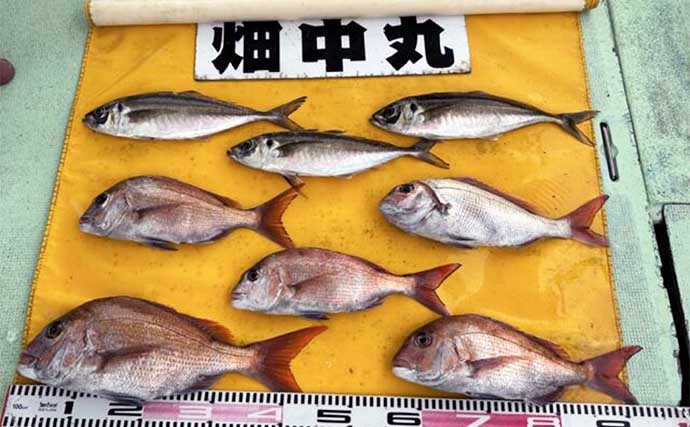 関西エリアの【船釣り特選釣果】 丹後半島のイカメタル便でシロイカ大漁！