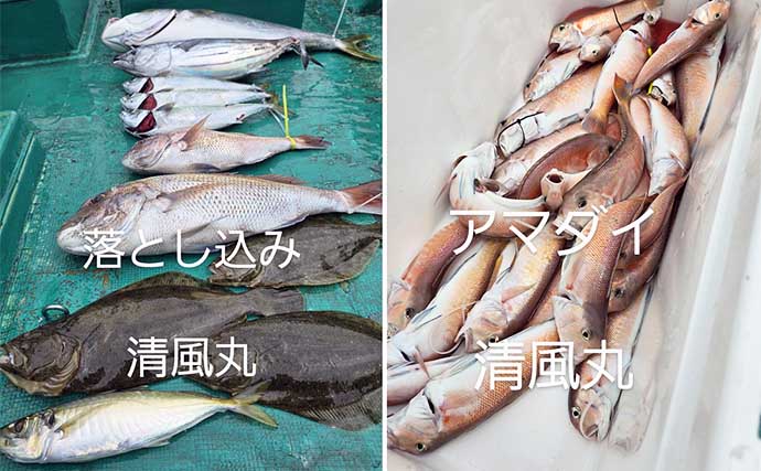 関西エリアの【船釣り特選釣果】 丹後半島のイカメタル便でシロイカ大漁！