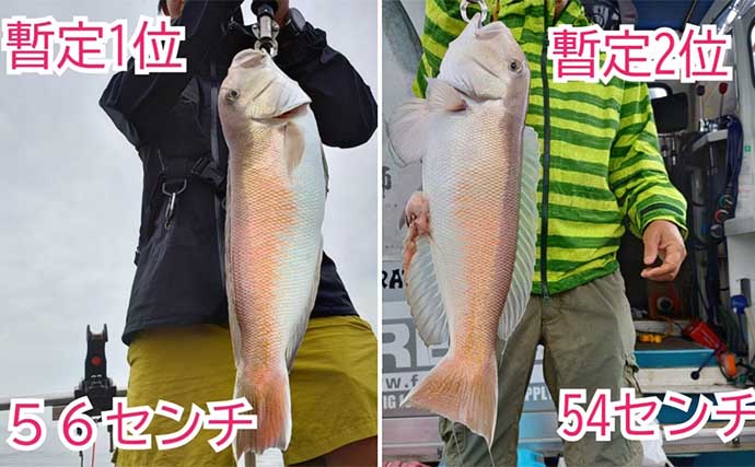 関西エリアの【船釣り特選釣果】 丹後半島のイカメタル便でシロイカ大漁！