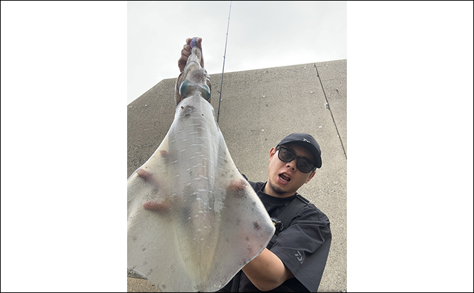 夏の堤防エギング釣行で1.8kg頭に良型アオリイカがまさかの連発【山口・萩】