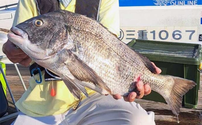 【カカリ釣り釣果速報】ダンゴ釣りで年無し含めて良型クロダイが好反応（三重）