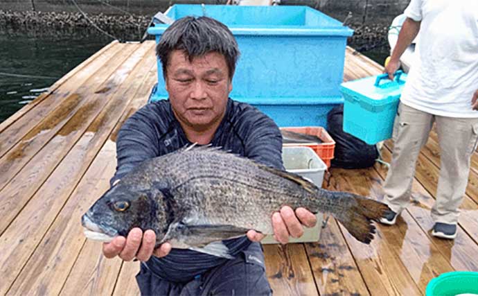 【カカリ釣り釣果速報】ダンゴ釣りで年無し含めて良型クロダイが好反応（三重）