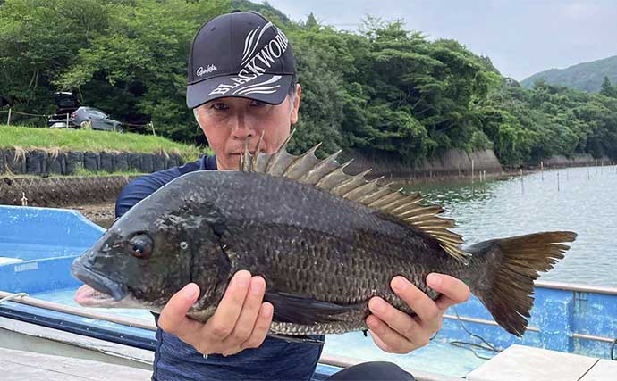 【カカリ釣り釣果速報】ダンゴ釣りで年無し含めて良型クロダイが好反応（三重）