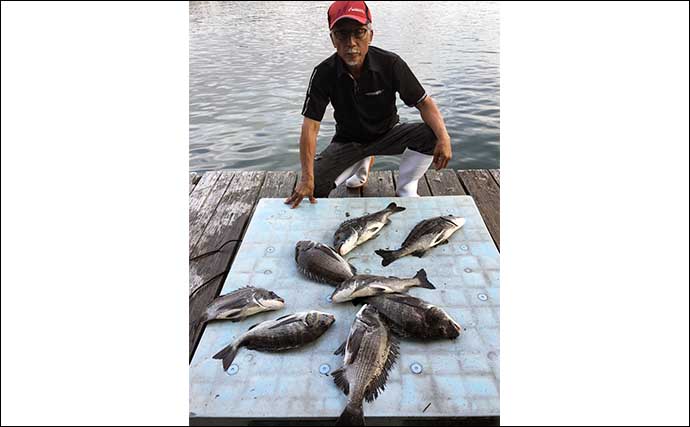 【カカリ釣り釣果速報】ダンゴ釣りで年無し含めて良型クロダイが好反応（三重）