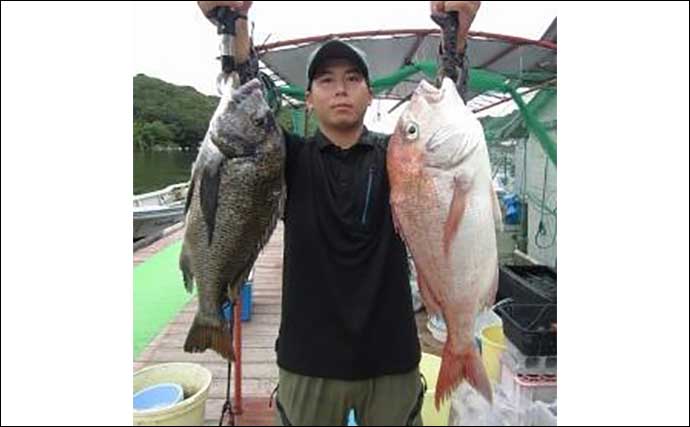 【カカリ釣り釣果速報】ダンゴ釣りで年無し含めて良型クロダイが好反応（三重）