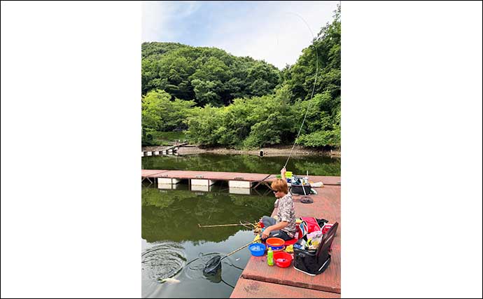 吉田康雄のザ・チャレンジへらぶな【数十年振りの一発セット#4】