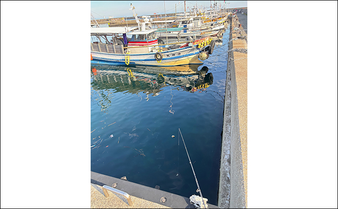 電車釣行可能な釣り場紹介：垂水漁港東側【兵庫】季節ごとに狙える魚を紹介