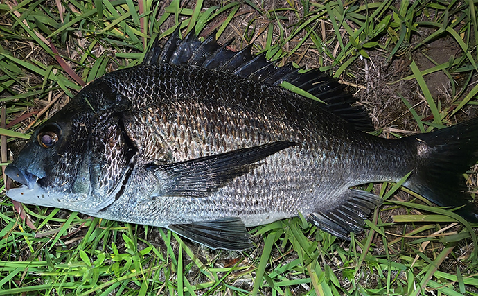 「夏は身近の河川で簡単にマゴチが釣れる！」陸からルアーで狙う仕掛けと釣り方を解説