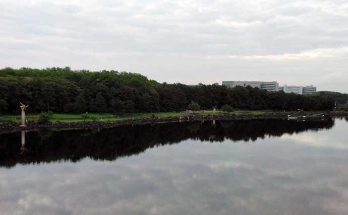 「大井ふ頭中央海浜公園」でのハゼ釣りでツ抜け【東京】イソメが当たりエサ？