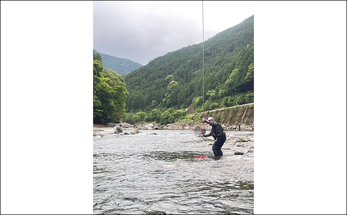 盛夏のアユトモ（友）釣り攻略法を解説　【オトリを弱らせないこと】が一番重要