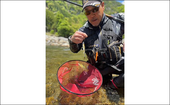 盛夏のアユトモ（友）釣り攻略法を解説　【オトリを弱らせないこと】が一番重要