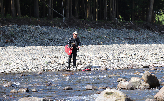 盛夏のアユトモ（友）釣り攻略法を解説　【オトリを弱らせないこと】が一番重要