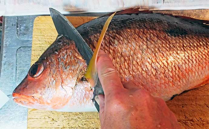 釣魚で作る「ご飯のおかず」レシピ：シブダイの漬け　ライトに漬けて上品に仕上げる