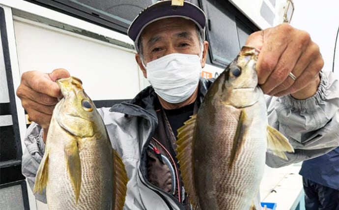 【船釣り釣果速報】腹ボテのジャンボイサキでクーラー満タン！（大分・熊本）