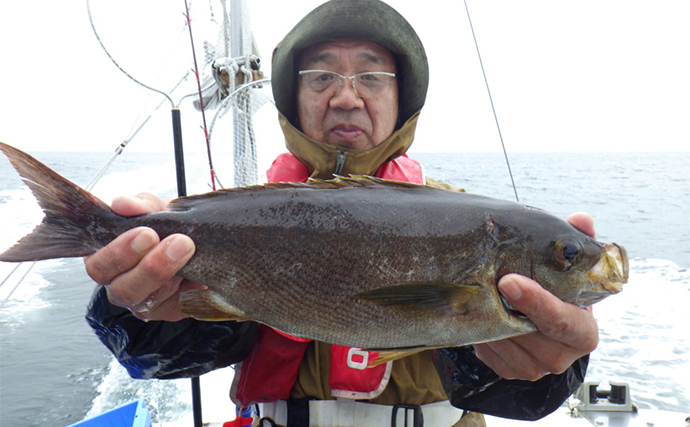 【船釣り釣果速報】腹ボテのジャンボイサキでクーラー満タン！（大分・熊本）