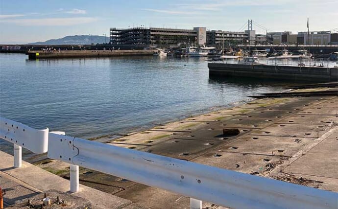 電車釣行可能な釣り場紹介：垂水漁港西側【兵庫】アジとメバルの釣り方を解説