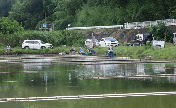 今週のヘラブナ推薦釣り場2024【神奈川・八菅ファミリー釣り場】