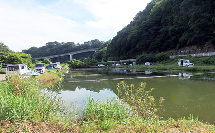 今週のヘラブナ推薦釣り場2024【神奈川・八菅ファミリー釣り場】