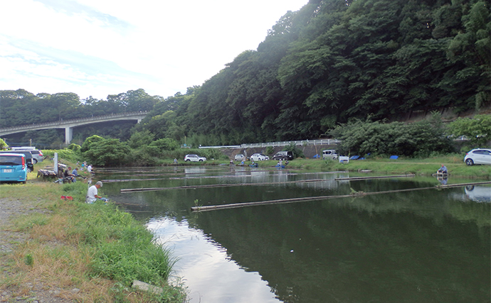 今週のヘラブナ推薦釣り場2024【神奈川・八菅ファミリー釣り場】