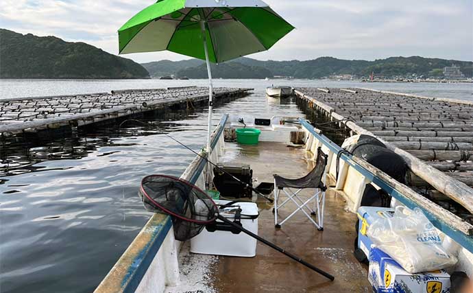 カセでのダンゴ釣りで本命クロダイ5枚【三重・鳥羽】沖のカセ選択が的中