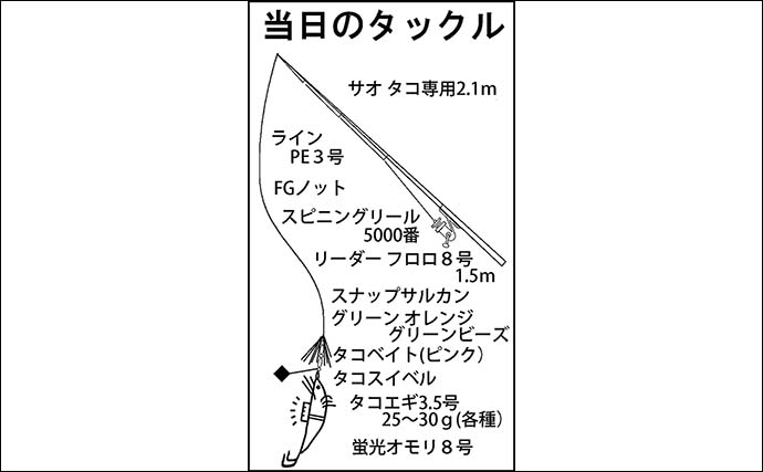 四日市港での堤防エギタコ釣行でマダコ2匹【三重】陸っぱりマダコ釣りシーズン開幕