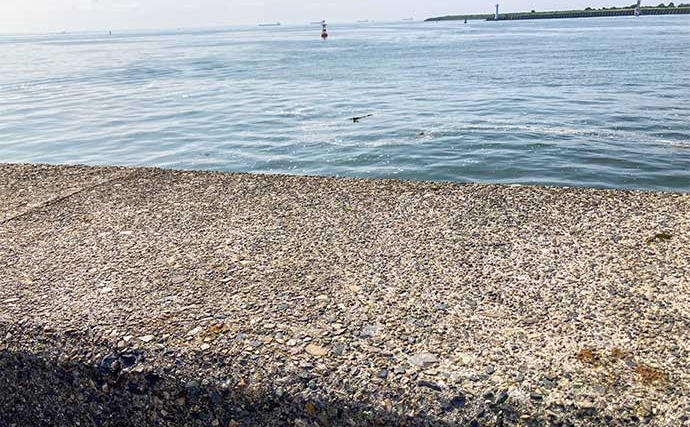 堤防での穴釣りで良型カサゴ【三重・四日市港】インチク型ブラクリ仕掛けにヒット