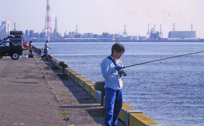 堤防エギタコ釣りでマダコ2匹ゲット【三重・四日市港】岸壁際でヒット