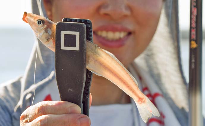 「碧南海釣り公園」でのサビキ＆ちょい投げ釣りでサッパにキスなど多彩魚種手中【愛知】