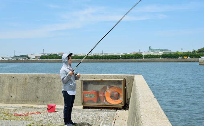 「碧南海釣り公園」でのサビキ＆ちょい投げ釣りでサッパにキスなど多彩魚種手中【愛知】