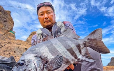 夜明け前の沖磯釣りで60cmイシダイをキャッチ【山口・見島】潮の動きとエサの管理が釣果の鍵