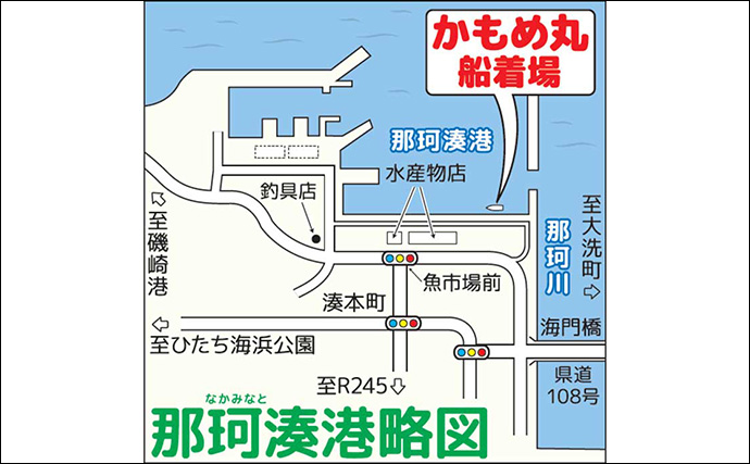 大洗沖の夜マルイカ釣りでトップ10尾【茨城・かもめ丸】40cm級スルメイカも顔見せ