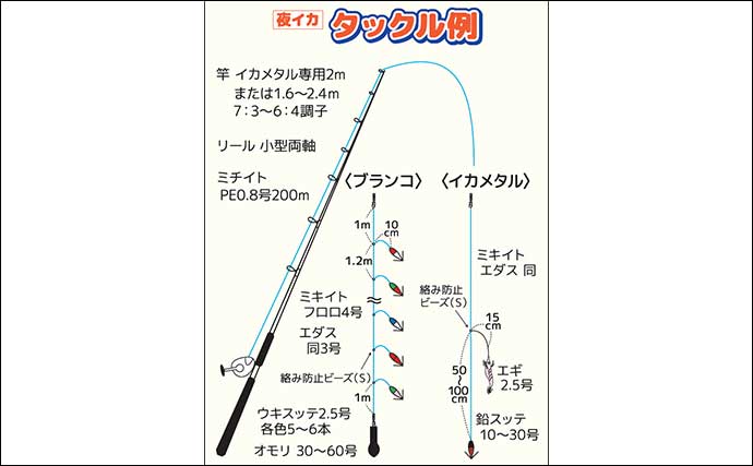 大洗沖の夜マルイカ釣りでトップ10尾【茨城・かもめ丸】40cm級スルメイカも顔見せ