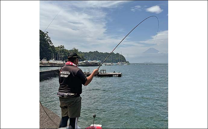 堤防でのウキダンゴ釣りでクロダイの「ツ抜け」を達成【静岡・沼津西浦】