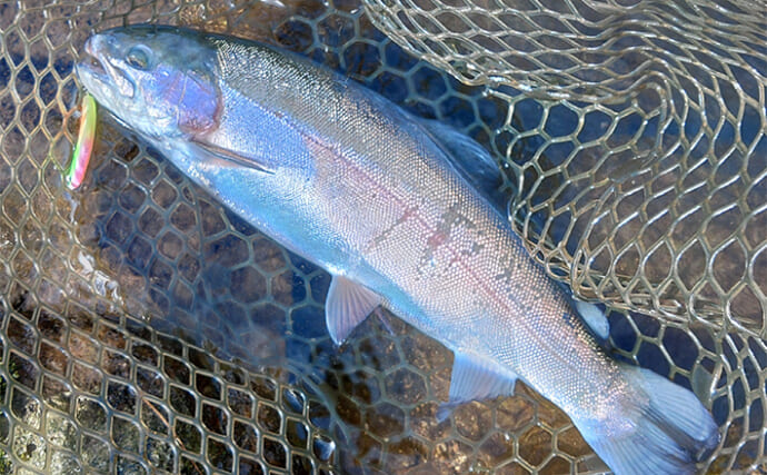 「平谷湖フィッシングスポット」でのルアー釣行でトラウト180匹キャッチ【長野】