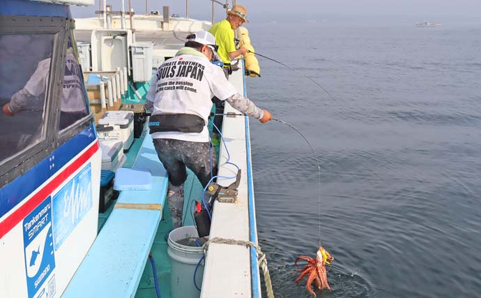 日立沖エギタコ釣りで良型マダコ連発【茨城・釣友丸】数と型どちらも期待できる好シーズン