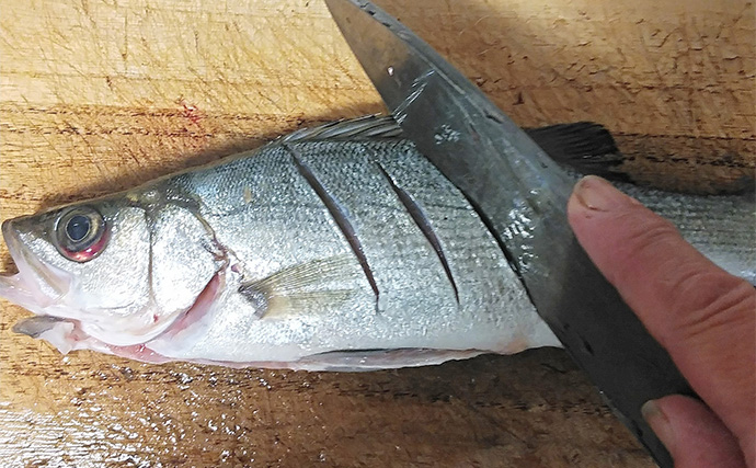 釣魚で作る「アレンジ煮付け」レシピ：ヒラセイゴの梅煮　じっくり煮詰めるのがキモ