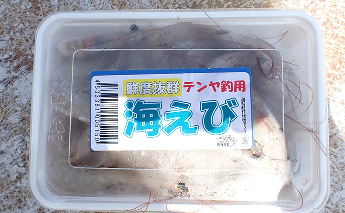 休日にのんびり起きてボート釣り【静岡・沼津】ひとつテンヤとサビキで五目釣りを満喫