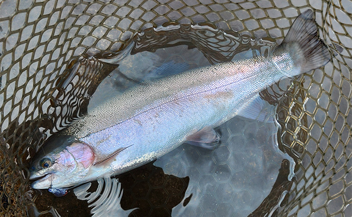 「平谷湖フィッシングスポット」でのルアー釣行でトラウト180匹キャッチ【長野】