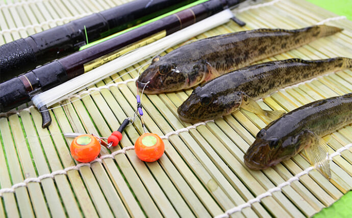 【ハゼ釣りのエサおすすめ11種】コンビニやスーパーで買える代用可能エサも紹介