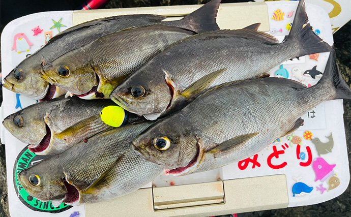 深島の磯でのフカセ釣りで50cmクロに良型イサキ【大分】お土産でクーラー満タン