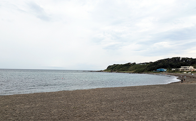 釣り好きパパにオススメの夏休み自由研究テーマ：夏に砂浜で釣れる魚を調査