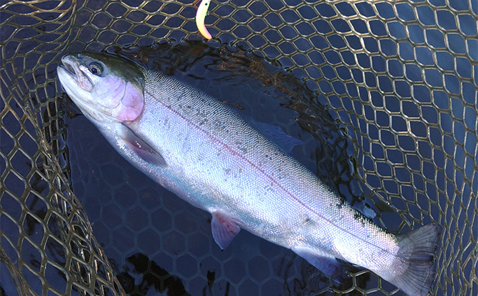 「平谷湖フィッシングスポット」でのルアー釣行でトラウト180匹キャッチ【長野】