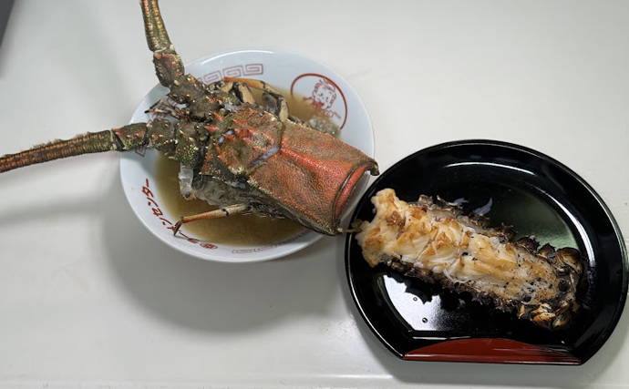 鎧兜みたいで格好いい『鎌倉エビ』を食べてみた　味はイセエビよりもだいぶ劣る？