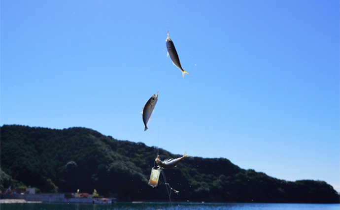 サビキ釣りで【仕掛けにひと工夫して釣果アップさせる方法3選】初心者でもすぐに出来る！